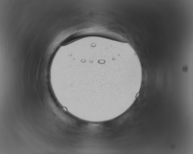 X0000115730055200912241635