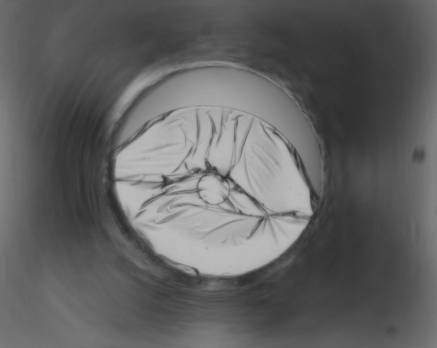 X0000115730056200912241635