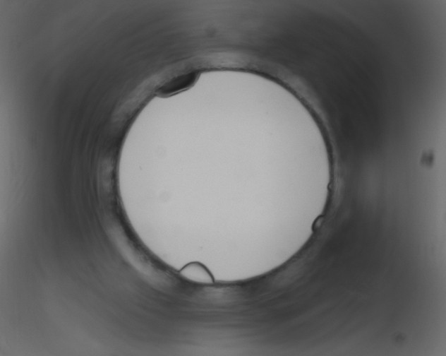 X0000115730057200912241635