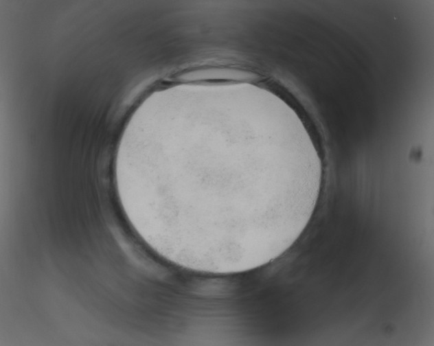 X0000115730058200912241635