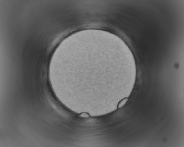X0000115730059200912241635