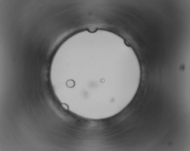 X0000115730060200912241635