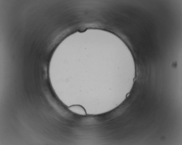X0000115730061200912241635