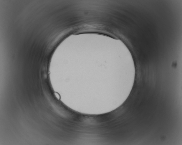 X0000115730062200912241635