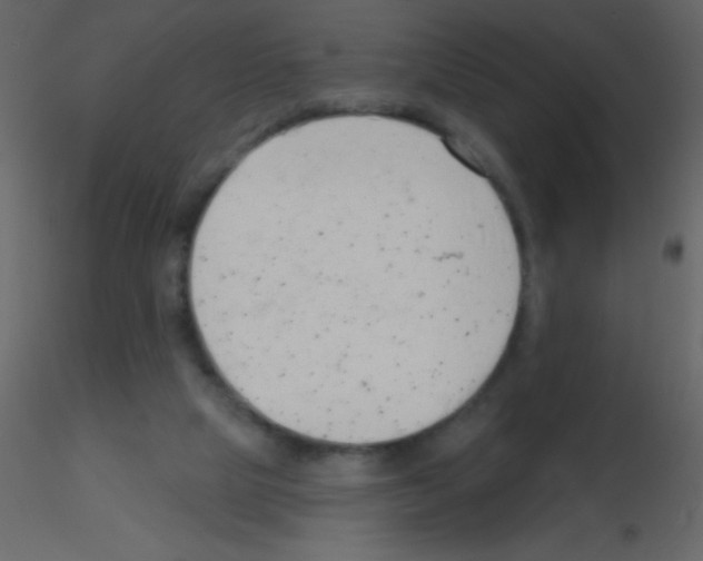 X0000115730065200912241635