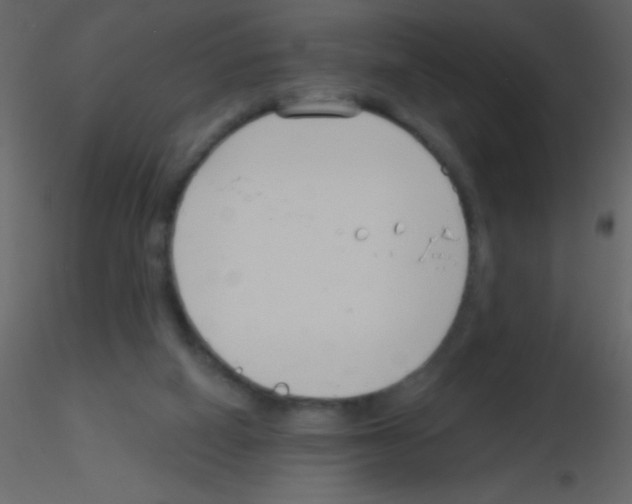 X0000115730066200912241635