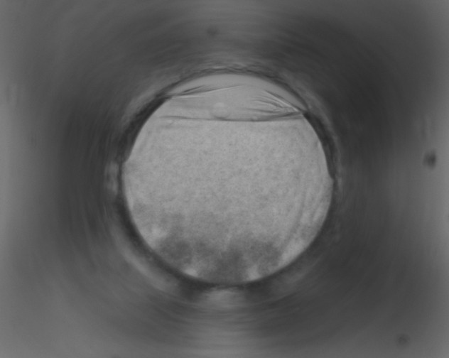 X0000115730067200912241635