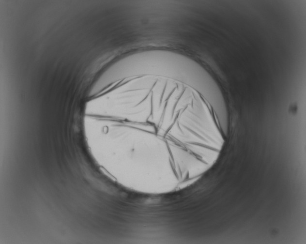 X0000115730068200912241635