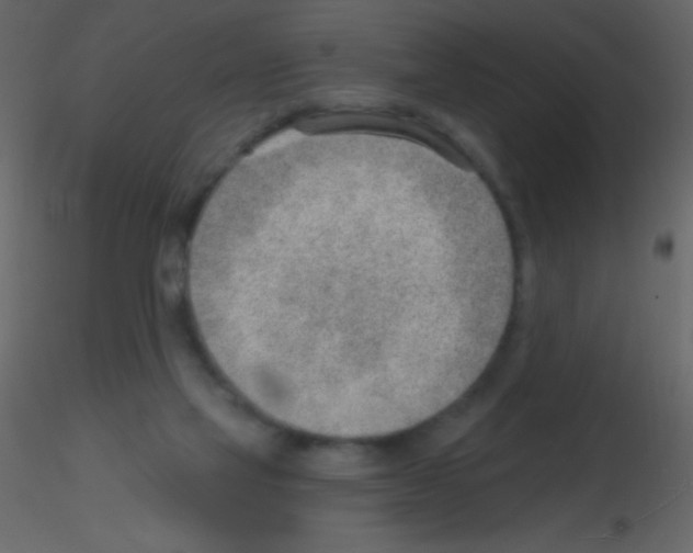X0000115730069200912241635
