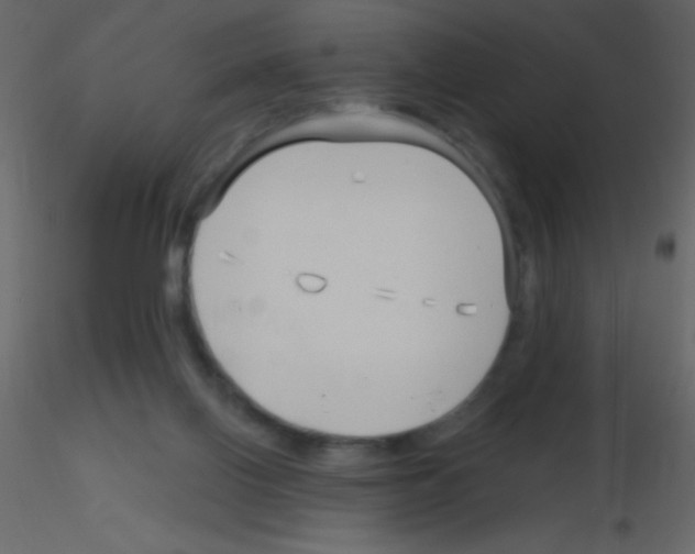 X0000115730070200912241635