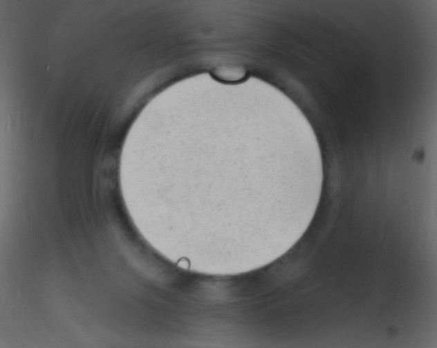 X0000115730071200912241635