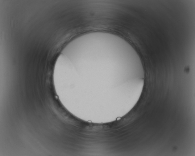 X0000115730072200912241635