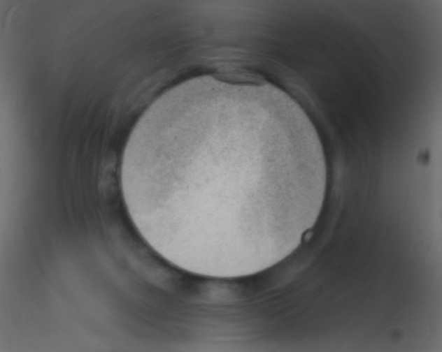 X0000115730073200912241635