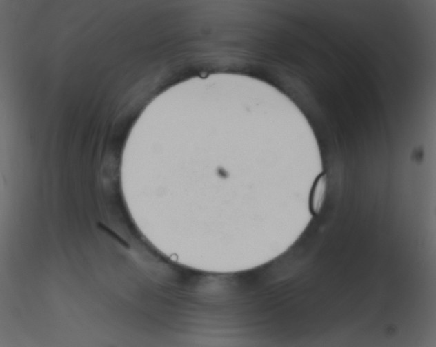 X0000115730077200912241635