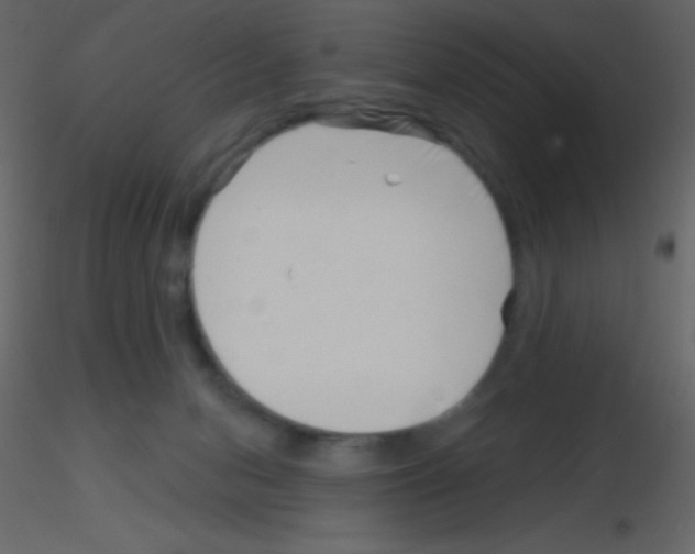 X0000115730078200912241635