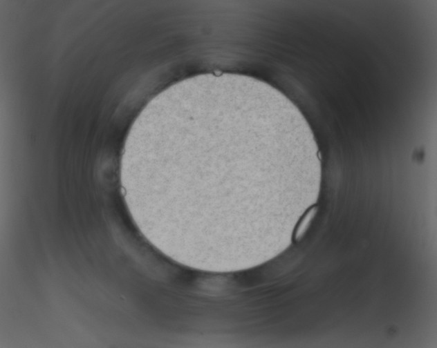 X0000115730079200912241635