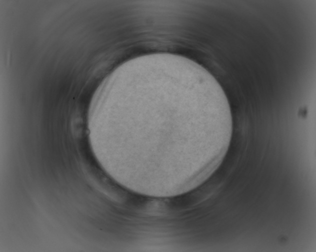 X0000115730080200912241635