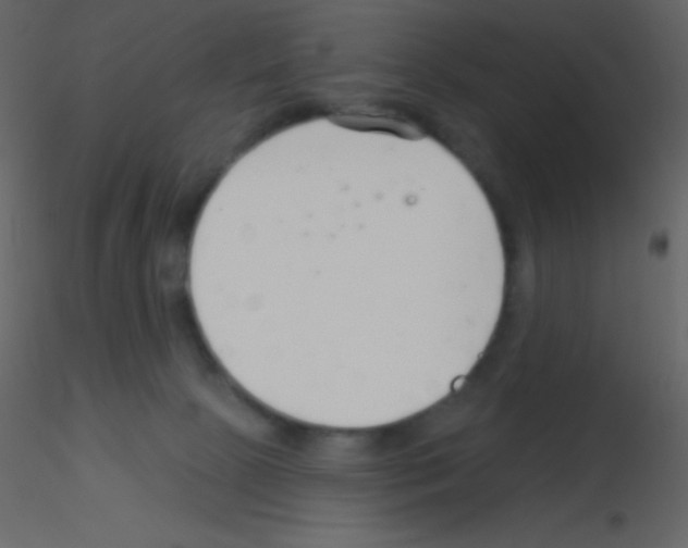 X0000115730081200912241635