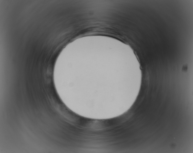 X0000115730082200912241635