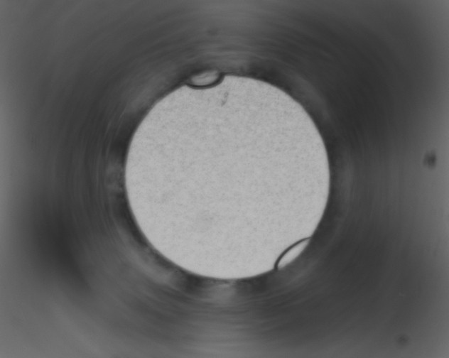 X0000115730083200912241635