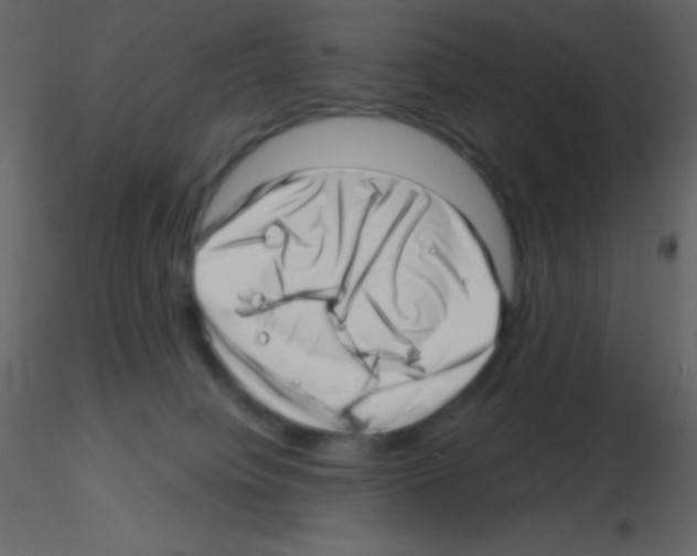 X0000115730084200912241635