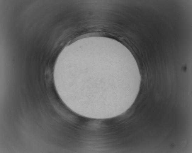 X0000115730086200912241635