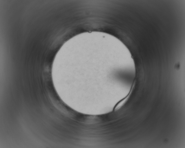 X0000115730087200912241635