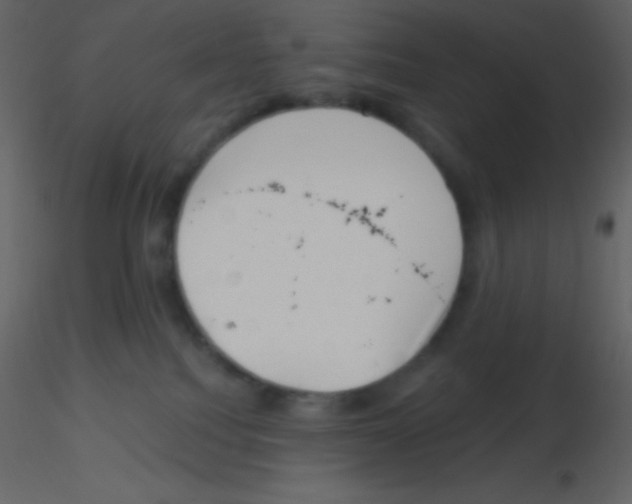 X0000115730088200912241635