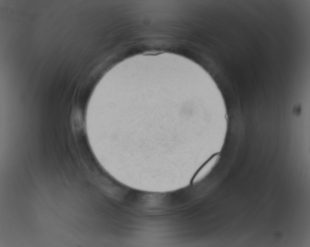 X0000115730089200912241635