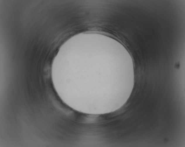 X0000115730090200912241635