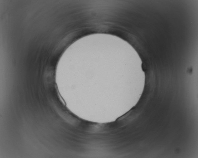 X0000115730092200912241635