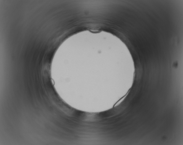 X0000115730093200912241635