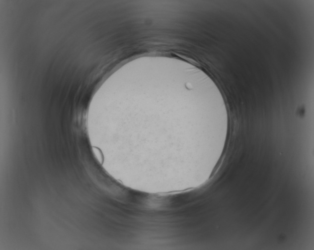 X0000115730094200912241635