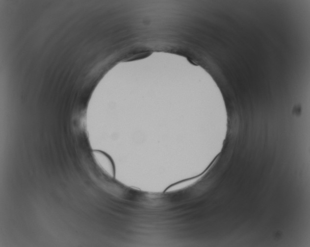 X0000115730095200912241635