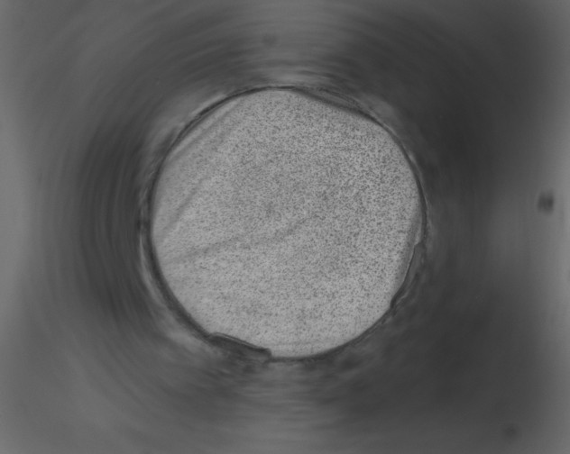 X0000115730097200912241635