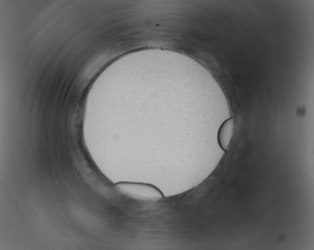 X0000115730098200912241634