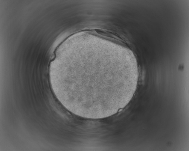 X0000115730099200912241634