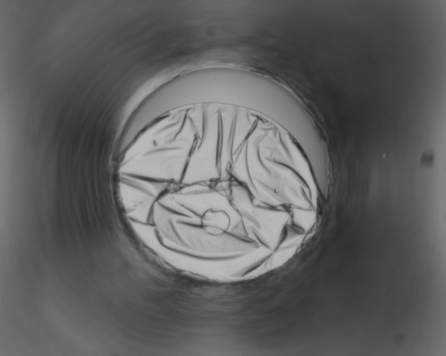 X0000115730100200912241634