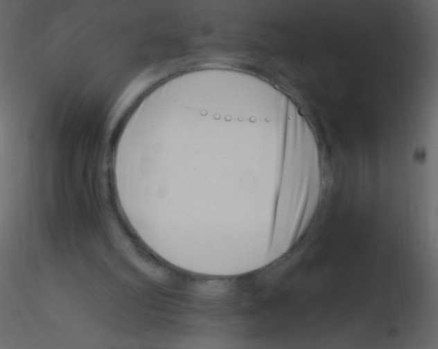 X0000115730102200912241634
