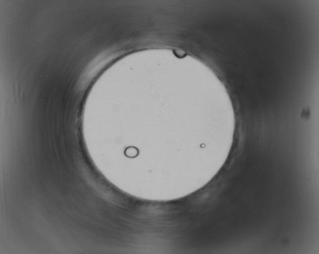X0000115730103200912241634