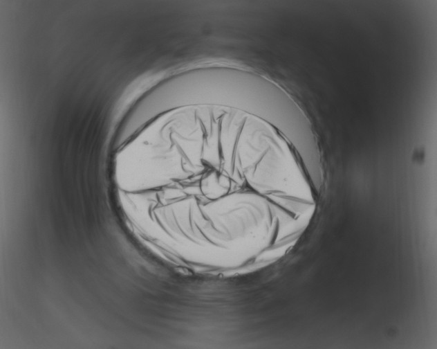X0000115730104200912241634