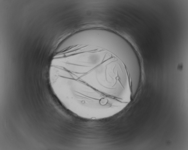 X0000115730105200912241634