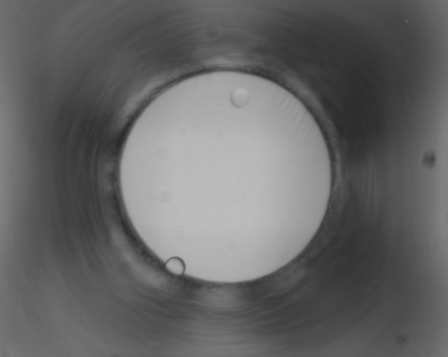 X0000115730106200912241634