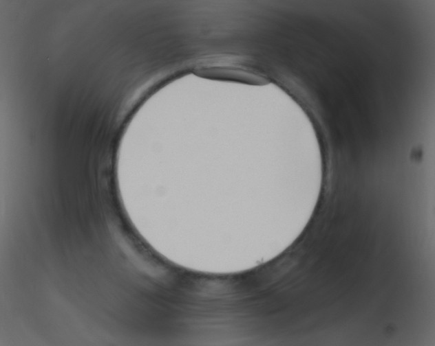 X0000115730107200912241634