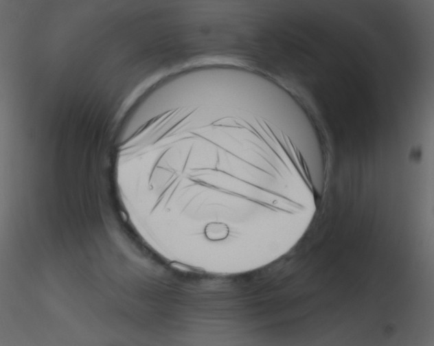 X0000115730108200912241634