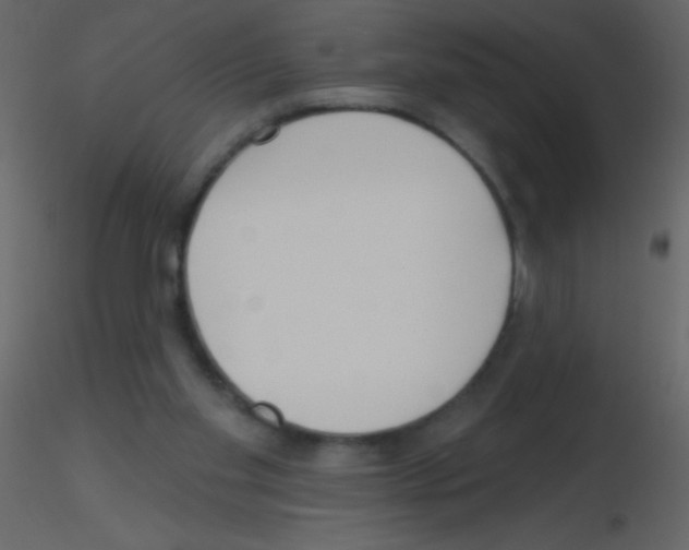 X0000115730109200912241634