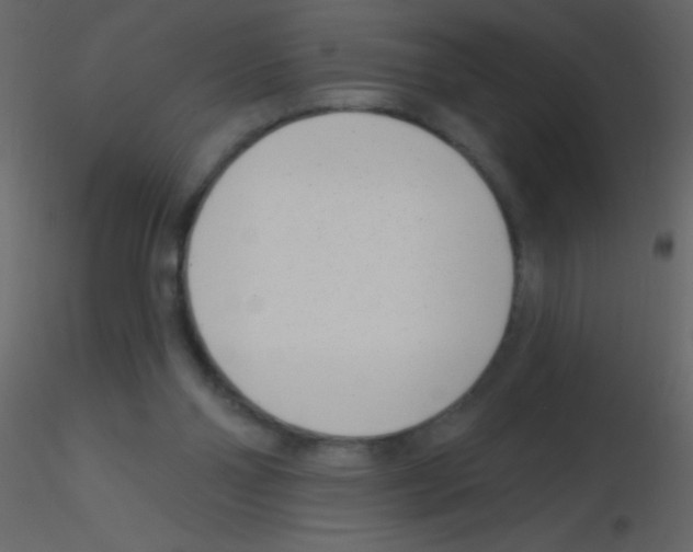 X0000115730110200912241634
