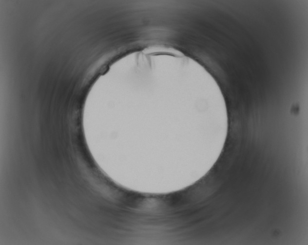 X0000115730111200912241634