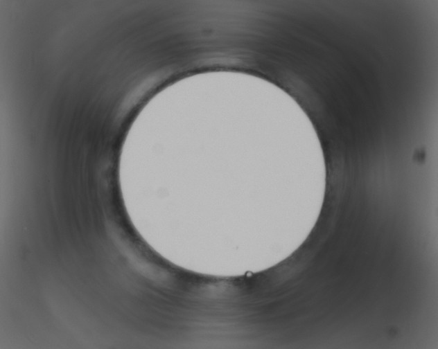X0000115730112200912241634