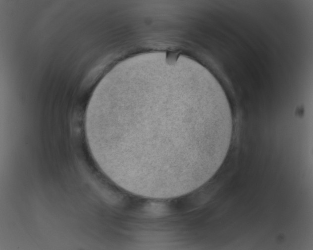 X0000115730114200912241634